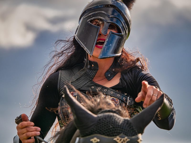 Medieval Jousting Shows
